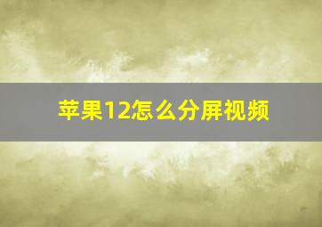 苹果12怎么分屏视频