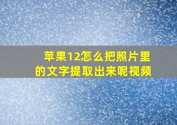 苹果12怎么把照片里的文字提取出来呢视频