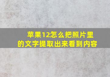 苹果12怎么把照片里的文字提取出来看到内容