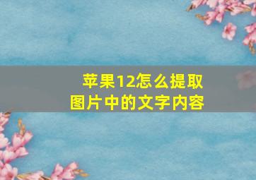 苹果12怎么提取图片中的文字内容