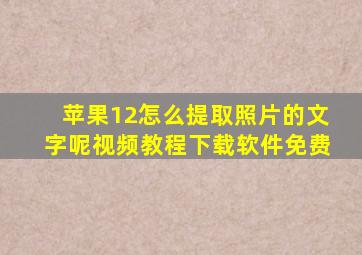 苹果12怎么提取照片的文字呢视频教程下载软件免费