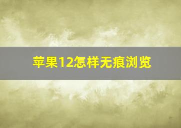 苹果12怎样无痕浏览