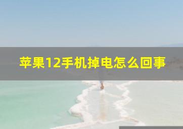 苹果12手机掉电怎么回事