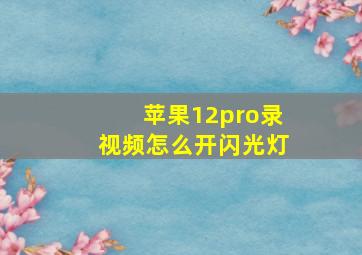 苹果12pro录视频怎么开闪光灯