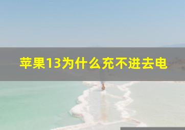 苹果13为什么充不进去电