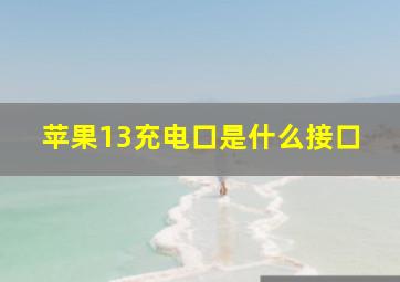 苹果13充电口是什么接口