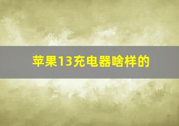 苹果13充电器啥样的