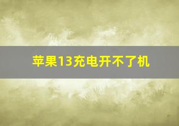 苹果13充电开不了机