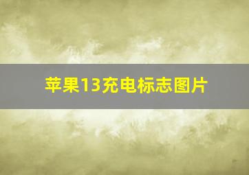 苹果13充电标志图片