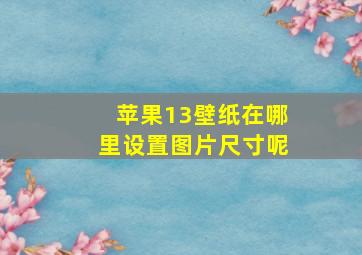 苹果13壁纸在哪里设置图片尺寸呢