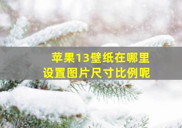 苹果13壁纸在哪里设置图片尺寸比例呢