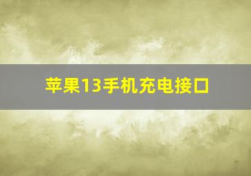 苹果13手机充电接口