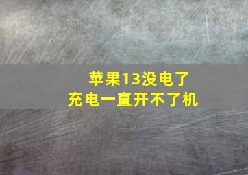 苹果13没电了充电一直开不了机