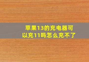 苹果13的充电器可以充11吗怎么充不了