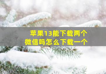 苹果13能下载两个微信吗怎么下载一个