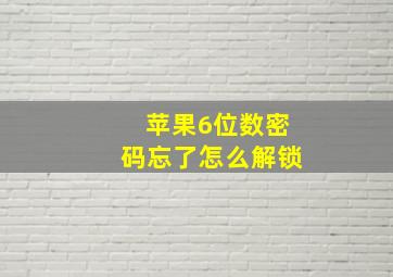 苹果6位数密码忘了怎么解锁