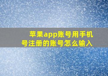 苹果app账号用手机号注册的账号怎么输入