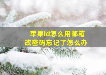 苹果id怎么用邮箱改密码忘记了怎么办