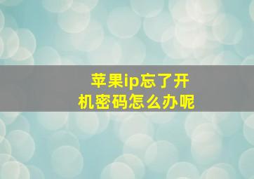 苹果ip忘了开机密码怎么办呢