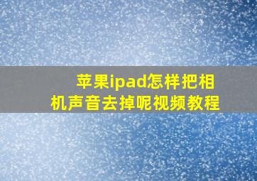 苹果ipad怎样把相机声音去掉呢视频教程