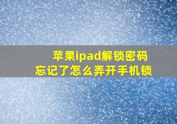 苹果ipad解锁密码忘记了怎么弄开手机锁