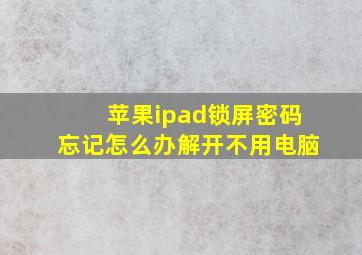 苹果ipad锁屏密码忘记怎么办解开不用电脑