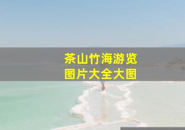 茶山竹海游览图片大全大图