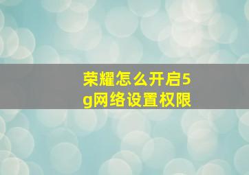 荣耀怎么开启5g网络设置权限