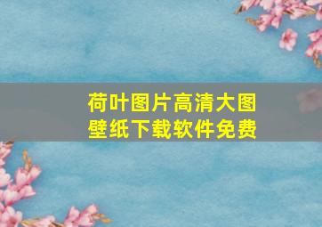 荷叶图片高清大图壁纸下载软件免费