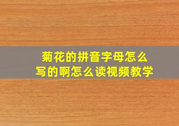 菊花的拼音字母怎么写的啊怎么读视频教学