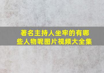 著名主持人坐牢的有哪些人物呢图片视频大全集