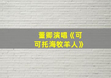 董卿演唱《可可托海牧羊人》