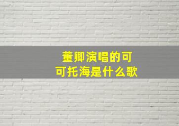 董卿演唱的可可托海是什么歌