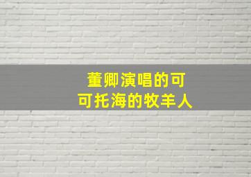 董卿演唱的可可托海的牧羊人