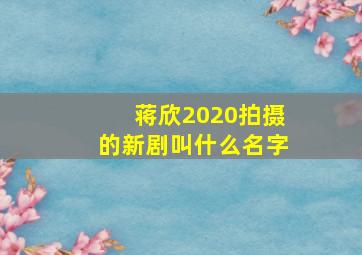 蒋欣2020拍摄的新剧叫什么名字