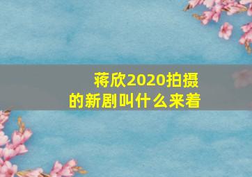 蒋欣2020拍摄的新剧叫什么来着