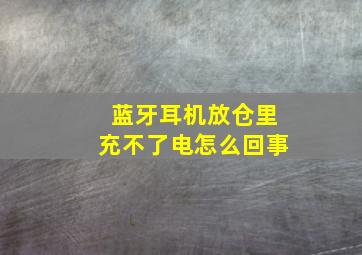 蓝牙耳机放仓里充不了电怎么回事