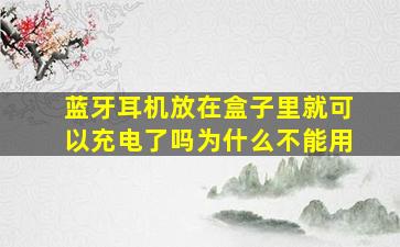 蓝牙耳机放在盒子里就可以充电了吗为什么不能用