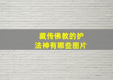 藏传佛教的护法神有哪些图片