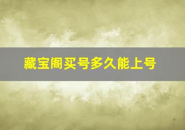 藏宝阁买号多久能上号