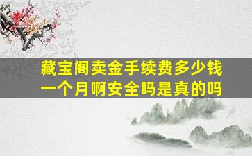 藏宝阁卖金手续费多少钱一个月啊安全吗是真的吗