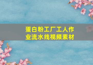 蛋白粉工厂工人作业流水线视频素材