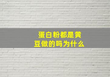 蛋白粉都是黄豆做的吗为什么