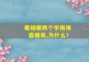 蜀相哪两个字用得最精练,为什么?