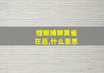 螳螂捕蝉黄雀在后,什么意思