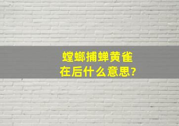 螳螂捕蝉黄雀在后什么意思?