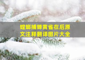 螳螂捕蝉黄雀在后原文注释翻译图片大全