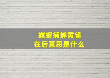 螳螂捕蝉黄雀在后意思是什么