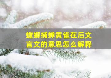 螳螂捕蝉黄雀在后文言文的意思怎么解释