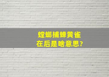 螳螂捕蝉黄雀在后是啥意思?